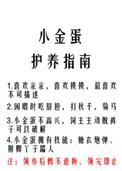 小金蛋护养指南45肉