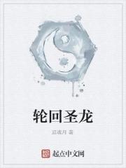 轮回圣龙诀