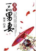 重生之摄政王的男妃