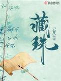藏珠男主重生