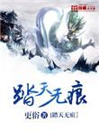 踏天无痕全本TXT