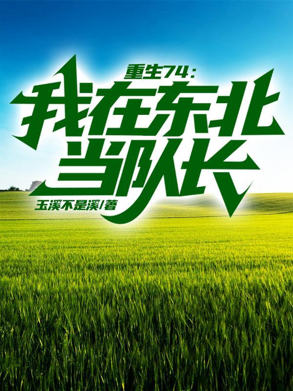 重生74我在东北当队长中的灵之精