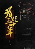 为妃三十年百度完整版