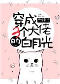 穿成三个大佬的白月光全文免费阅读无弹窗