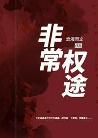 非常权途百度