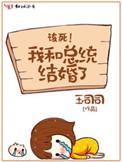 我和总统结婚了全文免费