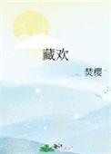 藏欢 作者二恰