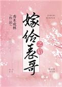 嫁给表哥之后 秀木成林txt