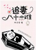 追妻爱难停免费阅读