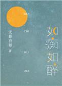 如痴如醉的痴是什么意思啊
