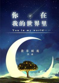 你在我的世界里杀疯了