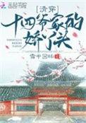 清穿之太子娇妃
