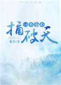 一不小心捅破天无删减