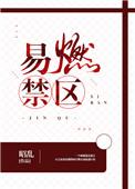 易燃禁区全文免费