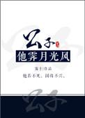 公子他霁月光风txt书包网