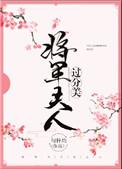 将军夫人过分美丽