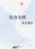 贴身宠婢txt