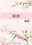 暖婚甜入骨免费阅读