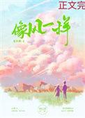 像风一样歌词表达了什么