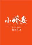 总裁爱上小娇妻