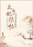 太子妃很忙清穿
