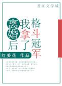 类似离婚后我拿了格斗冠军的