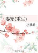 妻宠(重生)最新章节