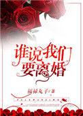 谁说我们要离婚百度
