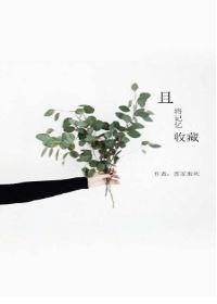 收藏小V记忆