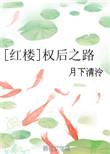 红楼之权后之路
