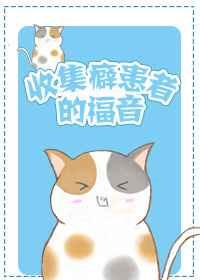 收集癖 游戏