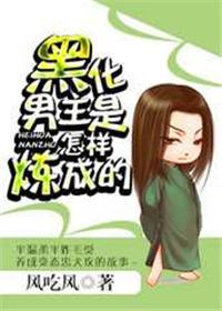 黑化男主是怎样炼成的讲了什么