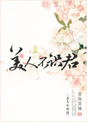 美人不识君TXT
