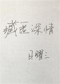 藏匿深情txt盘搜搜