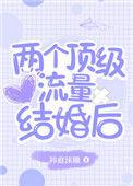 两个顶级流量结婚后全文阅读