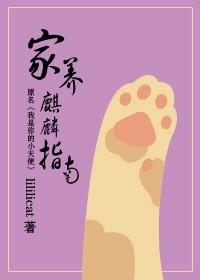 家养麒麟花有什么寓意