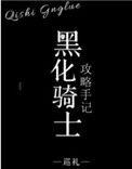 黑化圣骑士作者雾矢翊