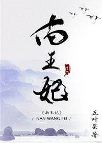 南王妃八部曲全部作品
