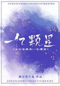 从天而降的一亿颗星星人物关系