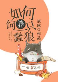 如何饲养一只蠢狼无防盗