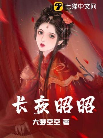 长夜昭昭txt