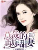 总裁独宠二婚妻