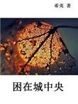 困在城中央希夷书评