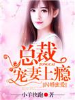 闪婚密爱总裁宠妻上瘾全文免费阅读