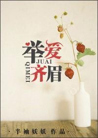 举爱齐眉txt书包网