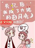 失忆后我成了大佬的白月光短剧