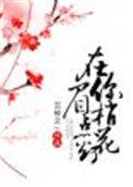 在你眉梢点花灯讲什么
