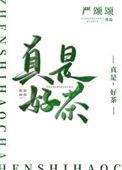 真是好茶by严颂颂