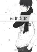 南北南北讲的什么