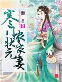 寒门状元农家妻全文